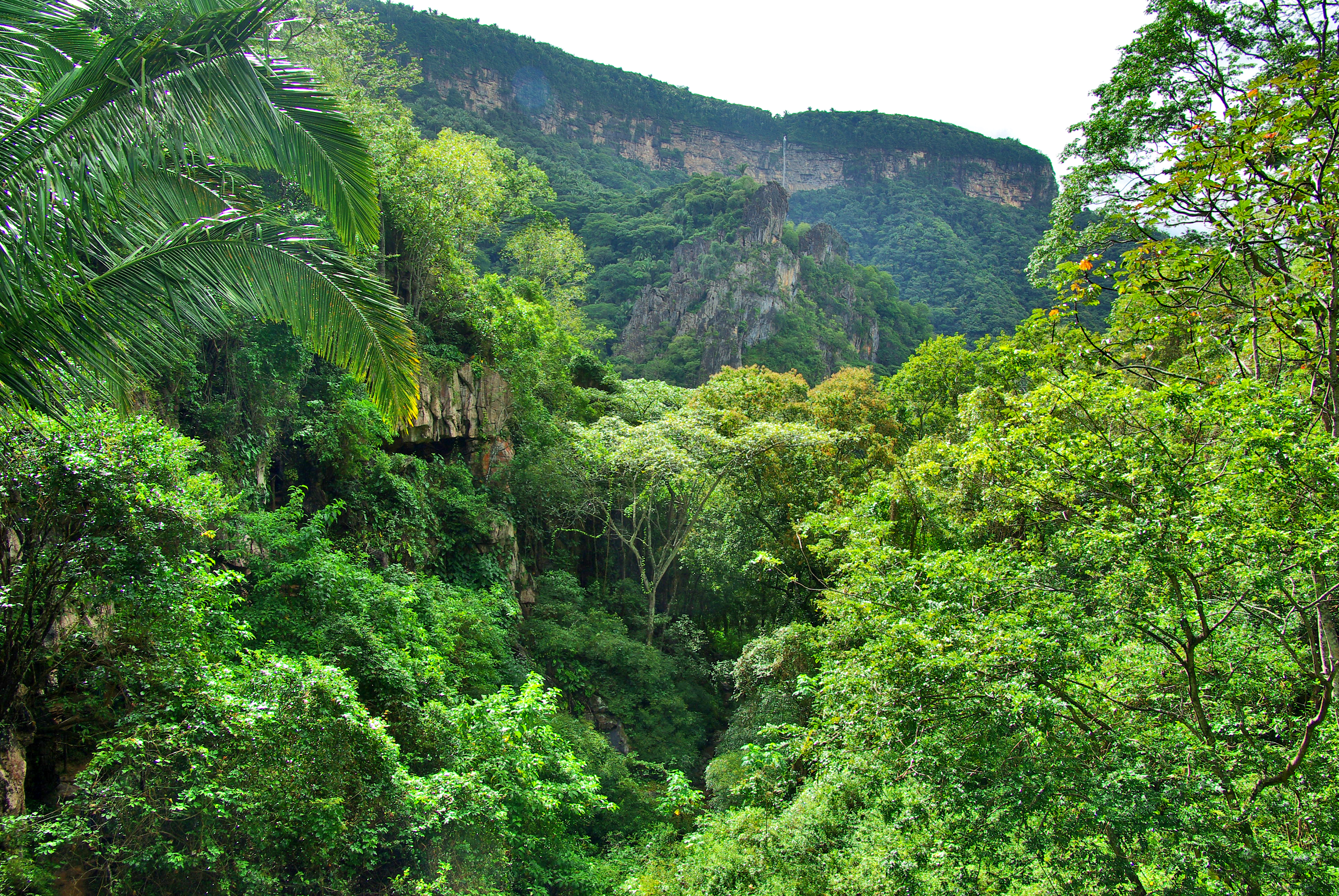 Vista panorâmica dos cânions e escarpas verdes do Parque Nacional de Ubajara